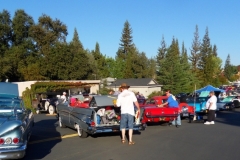 2014 Cameron Park Show