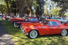 2016 Cars in the Park