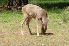 1_dsc00524-1024x768