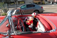 2017 Toys for Tots