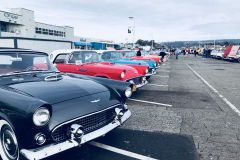 1_Birds-on-the-Wharf-2018-05
