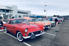 1_Birds-on-the-Wharf-2018-06