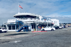 1_Birds-on-the-Wharf-2018-13