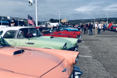 1_Birds-on-the-Wharf-2018-18