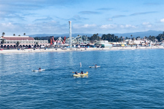 1_Birds-on-the-Wharf-2018-21