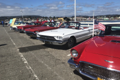 1_Birds-on-the-Wharf-2018-23