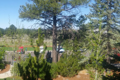 Touring-concours-parking-area-panorama-at-hotel