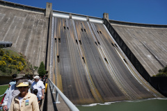 DSC00163-copy