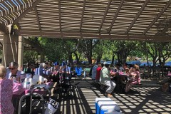 2019 Picnic