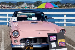 Dance-T-Bird-on-the-Wharf