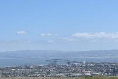 IMG_8418